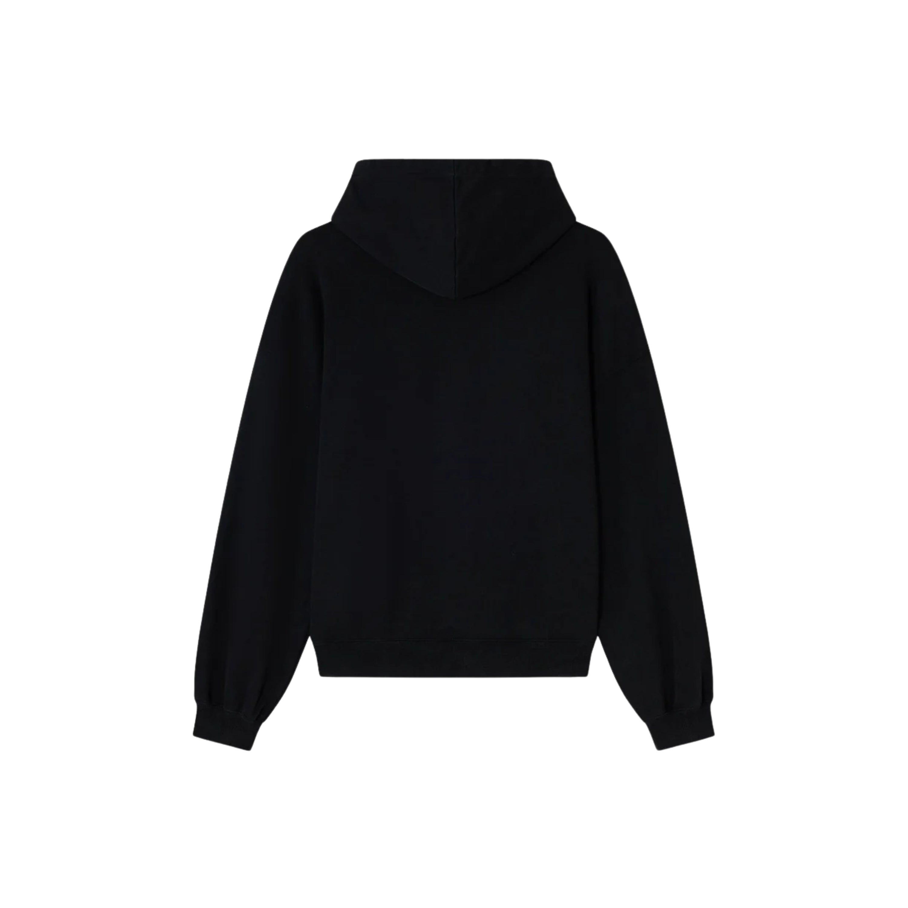 Acupuncture Anarchy Hoodie Washed Black