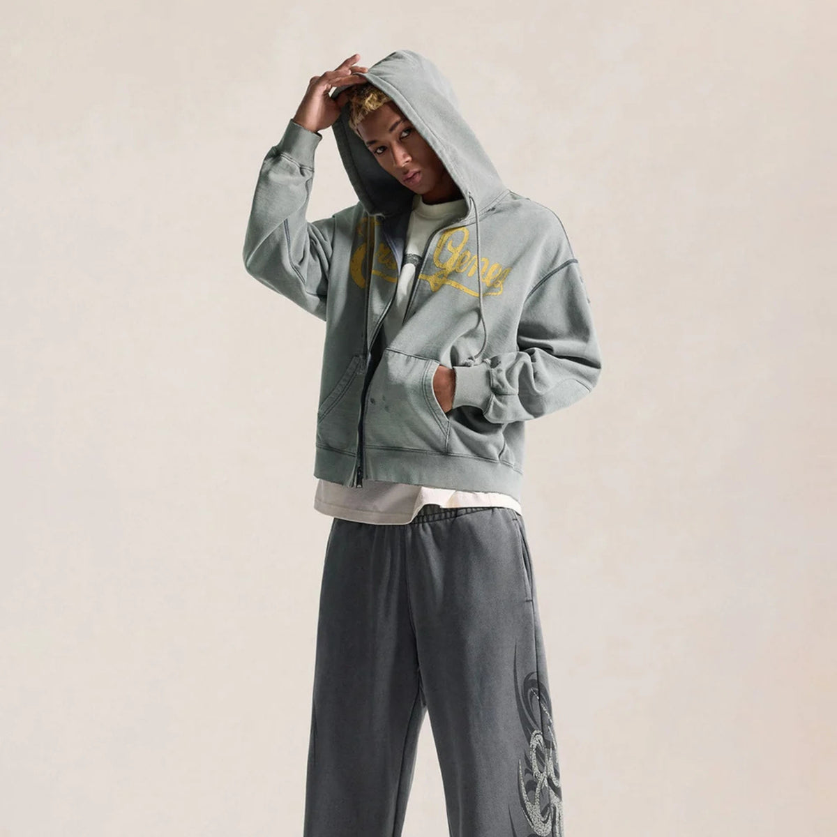 Evisu Seagull Genes Zip Hoodie Grey